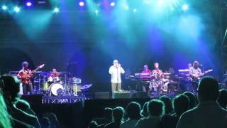 Mio Cuggino - Elio e le storie tese