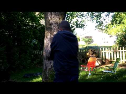 Esteban Guitar Review - June 14, 2014