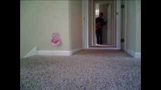 [XXX] "Carry Me Ohio" by Sun Kil Moon (live cover by Another Tragic Fool)