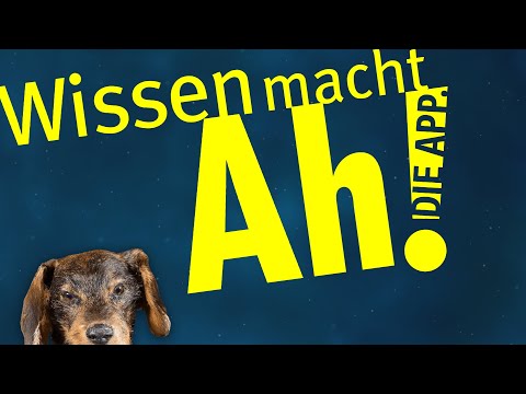 Wissen macht Ah! – Die App Video