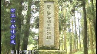 走在台灣的脊樑上─阿里山森林遊樂區步道