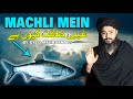 MACHLI MEIN GHAIBI TAQAT KIYON HAI | MEHRBAN ALI | NEW VIDEO 2024 | MOTIVATIONAL VIDEOS