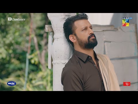 Hilmand Hara Nahi Sookh Chuka Us Ki Ragon Mein Jitna Khoon Wo Thook Chuka - Sang-e-Mah - HUM TV