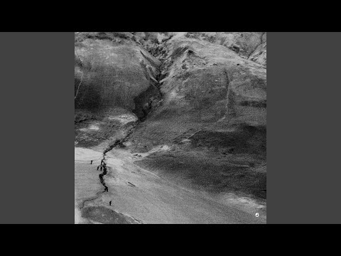 Schweinelobby (Der Defätist)