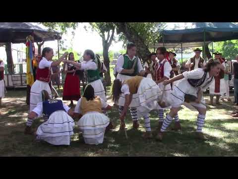 PAULITEIROS de Miranda (Malhadas)