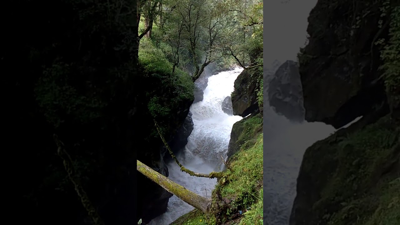 Kheerganga Trek Waterfall #shorts
