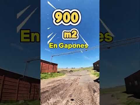 Campo en Saladillo