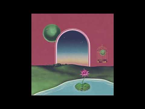 Flying Lotus x Pink Siifu x Lord Apex Type Beat - "Matching Aura"