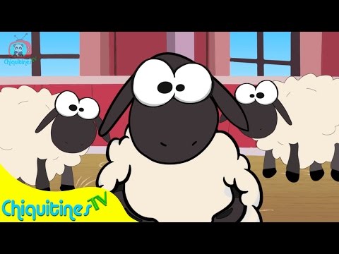 Tengo tengo tengo 3 ovejas - Canción Infantil