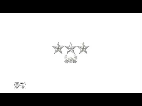 아이콘