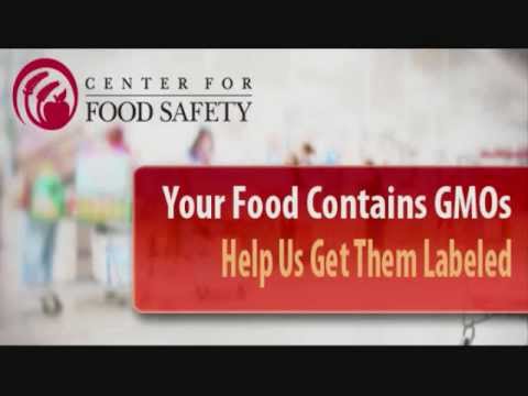 download lagu mp3 mp4 Ge Free Food, download lagu Ge Free Food gratis, unduh video klip Ge Free Food