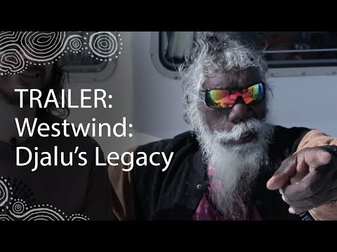 Westwind: Djalu’s Legacy | Trailer | NITV