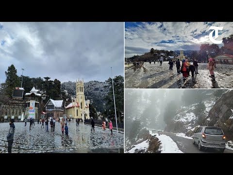 Snow in Shimla cheers up locals and tourists
