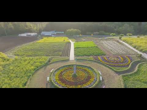 鼻高展望台花の丘