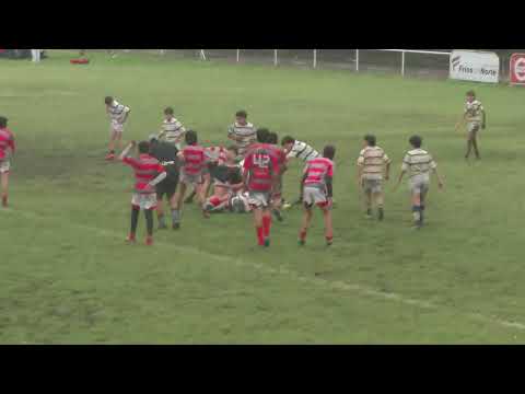 RESUMEN M14 TLTC 0   LINCE 21