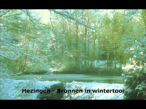 Vasse-mander-hezingen