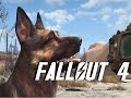 Atom Bomb Baby - Fallout 4 - The Five Stars 