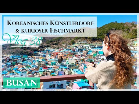 Weltreise Kreuzfahrt I Busan 🐡 (Südkorea) I Vlog 38