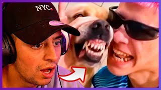 LOUD CORINGA REAGE OS MELHORES TIK TOK DE COMDIA - TENTE NO RIR! #80