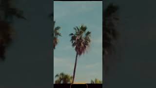 Download lagu Spain captured on super 8 film 🎞️☀️ #super8 #film #analog #kodak #vision3 #motionpicture #onfilm mp3