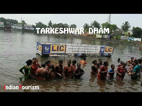 download lagu mp3 mp4 Tarkeshwar Mahadev Story, download lagu Tarkeshwar Mahadev Story gratis, unduh video klip Tarkeshwar Mahadev Story