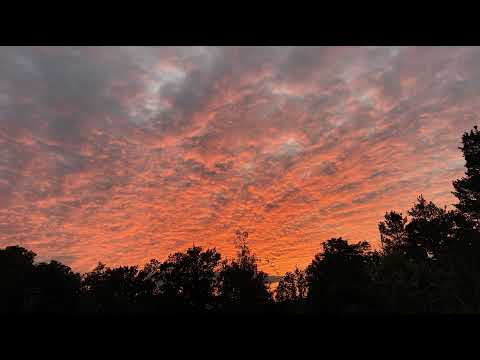 Yakuza 0 directors cut! German