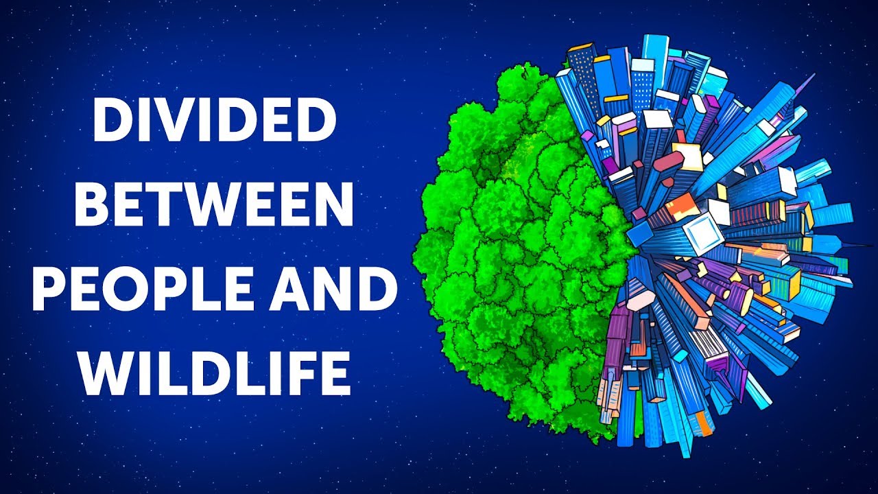 What If We Built a Wall Between People and Wildlife