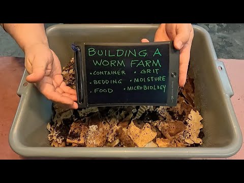 Final worm bin build of 2020 - vermicomposting