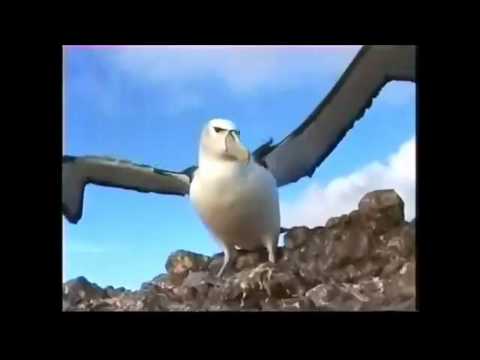 Léo Ferré chante Baudelaire - L'Albatros (Greek subtitles)