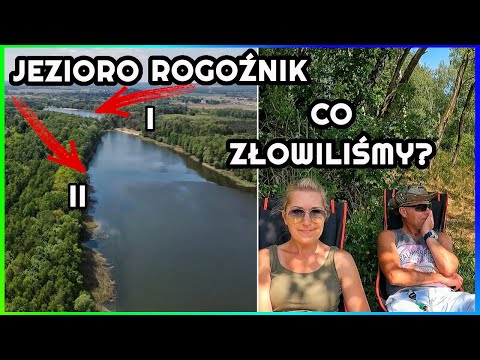Jezioro Rogoźnik  | Jedziemy na Ryby ! | Czy warto tu przyjechać ? | Przyjazne Łowisko Wędkarskie