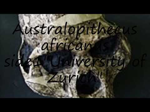 How to pronounce Australopithecus africanus side1"University of Zurich" in English?