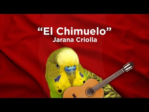 El Chimuelo Jarana Criolla - kambaz Remix