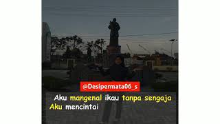 Download lagu Story WA lagu Dayak mp3