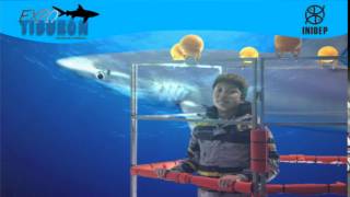 DIA 2 Expo Tiburon22