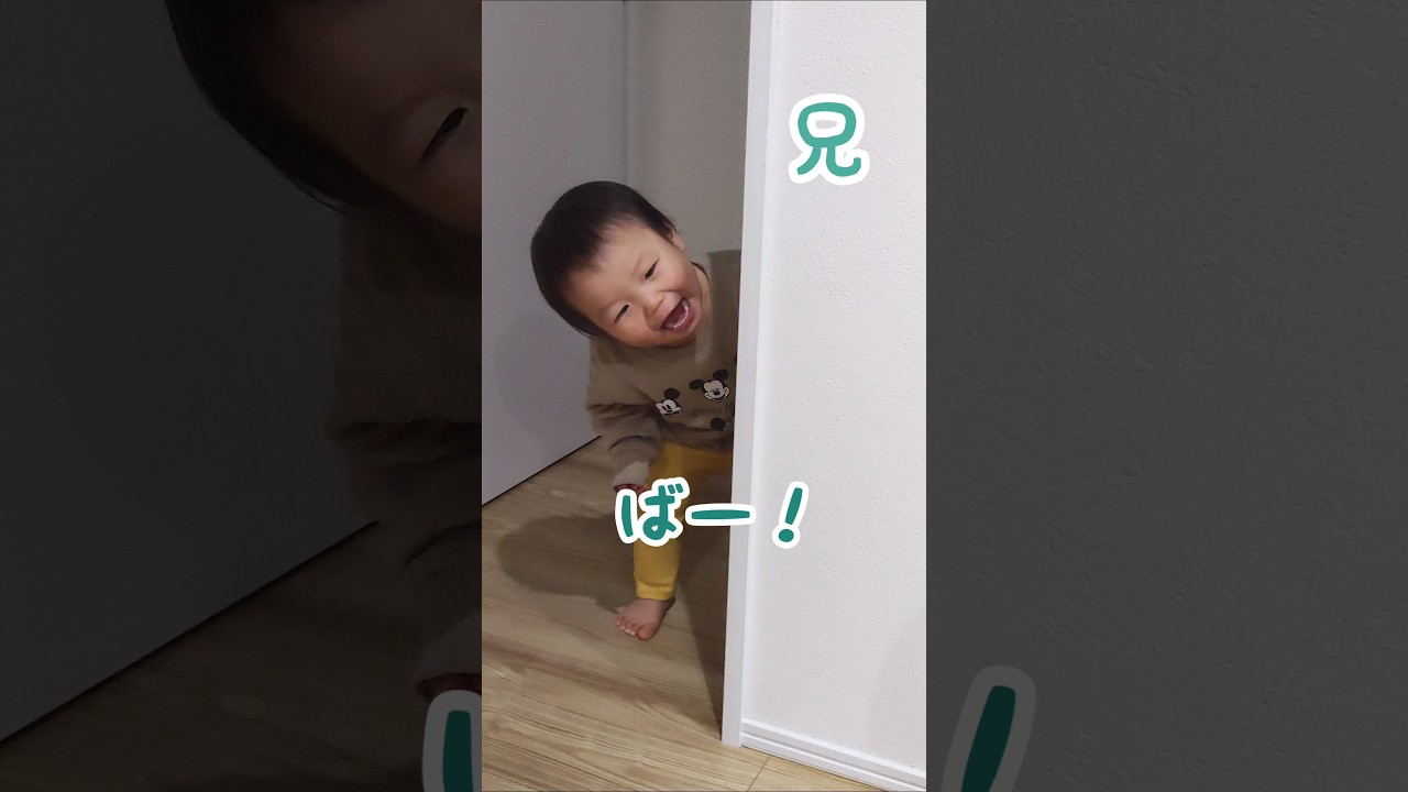 交代しながら、いないいないばあで遊ぶ双子#shorts