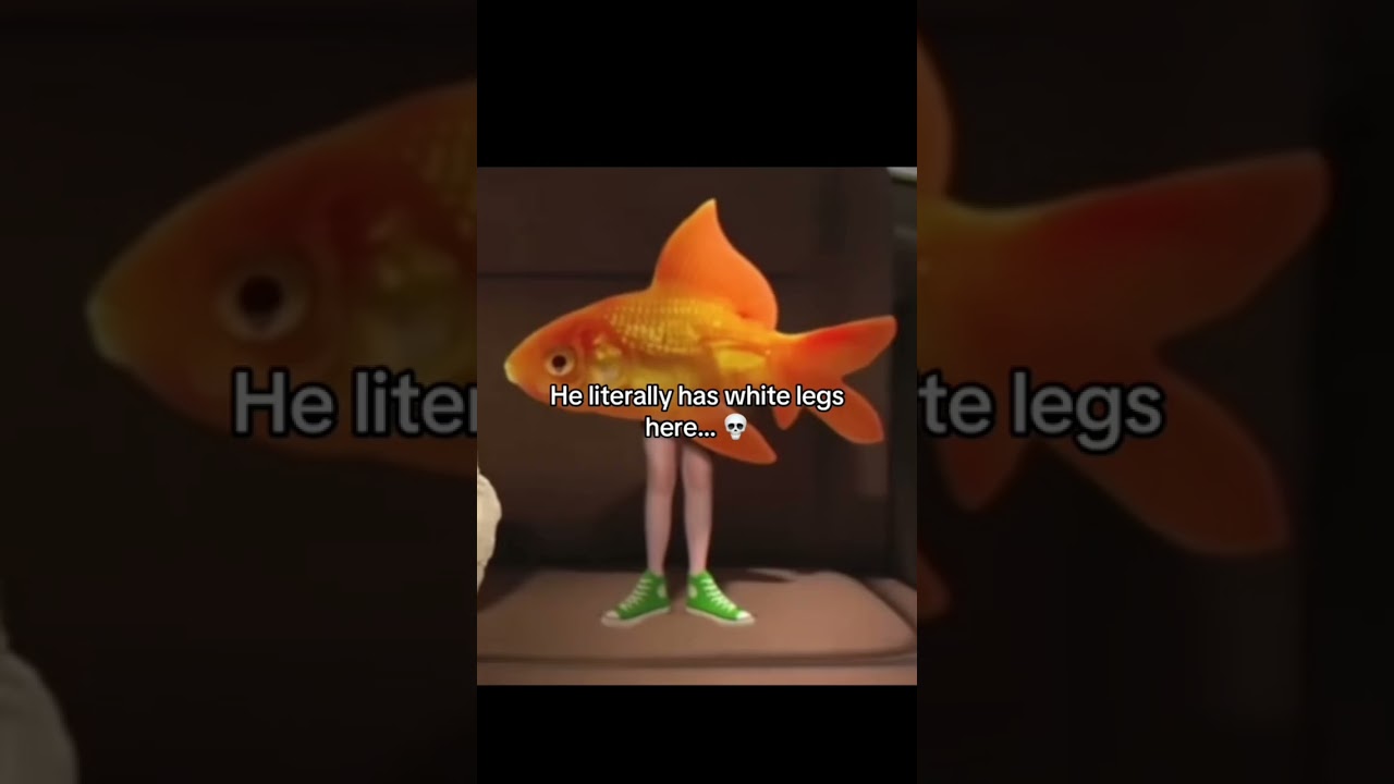 The Amazing World Of Gumball (Darwin Aint Black?)