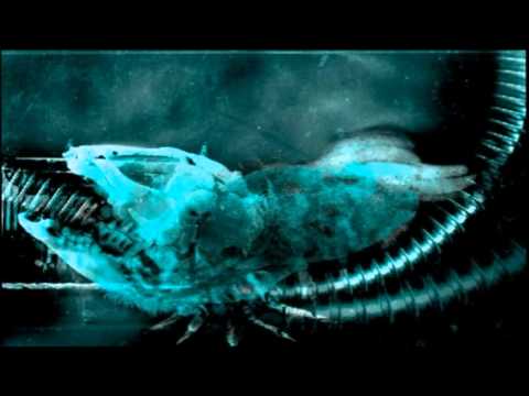 Slam, Jerome Sydenham - Positive Education (Jerome Sydenham Remix)