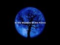 In the Shadows of the Forest
