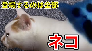 猫目線のホラーゲームが新しすぎたｗｗｗｗｗ【ねこのひ】