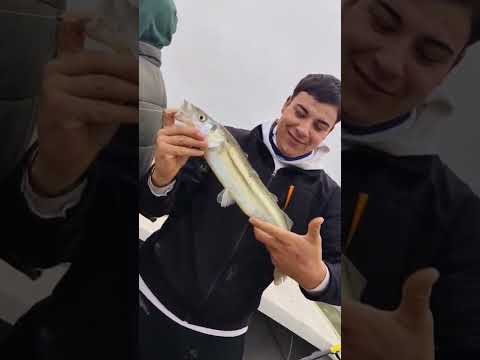 OTRO DIA DE MATUNGOS CON EL GUIA EL PATA EN MONTE GUAMINI @juanmanuel.bermejo tel +54 9 2923 57-111
