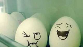 Huevos Revueltos - la Dieta del lagarto Chancho en piedra.