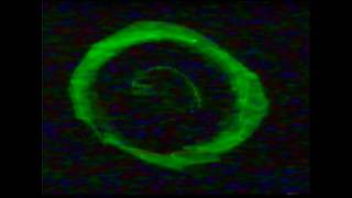 Scanner - Wizard Force [320kbps]