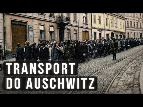 The first transport to the Auschwitz camp consisted of Poles