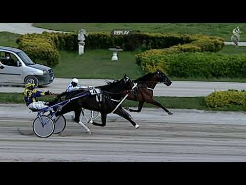 Aversa trotto 24 Marzo 2021 - 3° Corsa