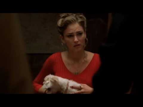The Sopranos 4.02 - "A chance to save your life and Christopher's life"