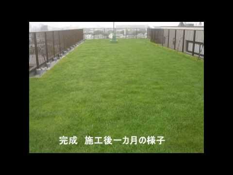 屋上緑化テラスってどうやって作るの？尊重すべき利点とルールは何ですか?  庭園