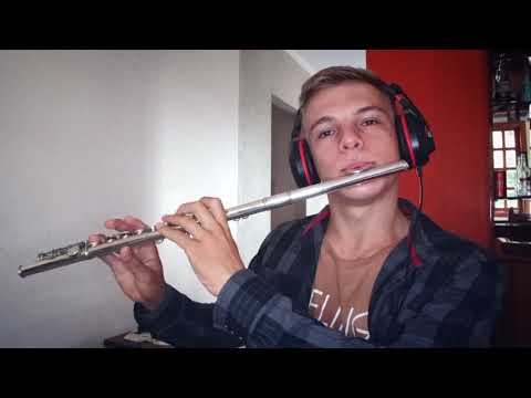 Maroon 5 - Payphone cover Flauta Transversal com notas