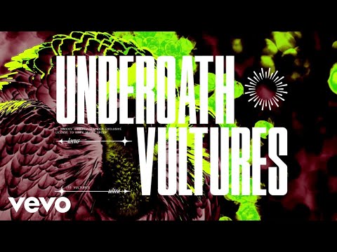 Video thumbnail for Vultures