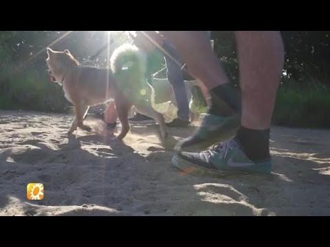 'Wandelen is hipper dan ooit tevoren' - RTL BOULEVARD