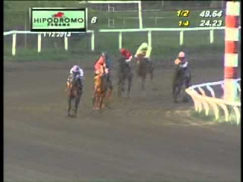 8VA CARRERA DOMINGO 12 DE ENERO DE 2014 HPR